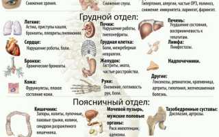 Болит правый бок при движении: возможные причины и диагностика