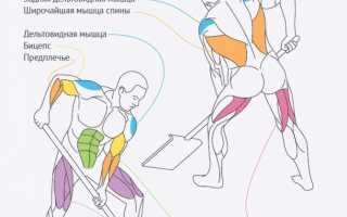 Сжигаю ли я больше калорий, тренируясь зимой на улице