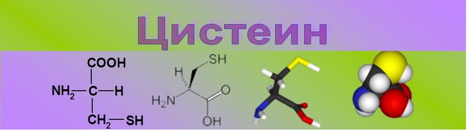 Цистеин