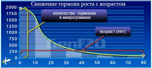 Снижение гормона роста с возростом