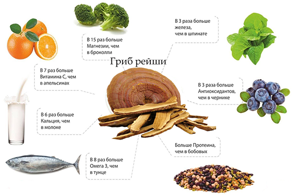 Рейши